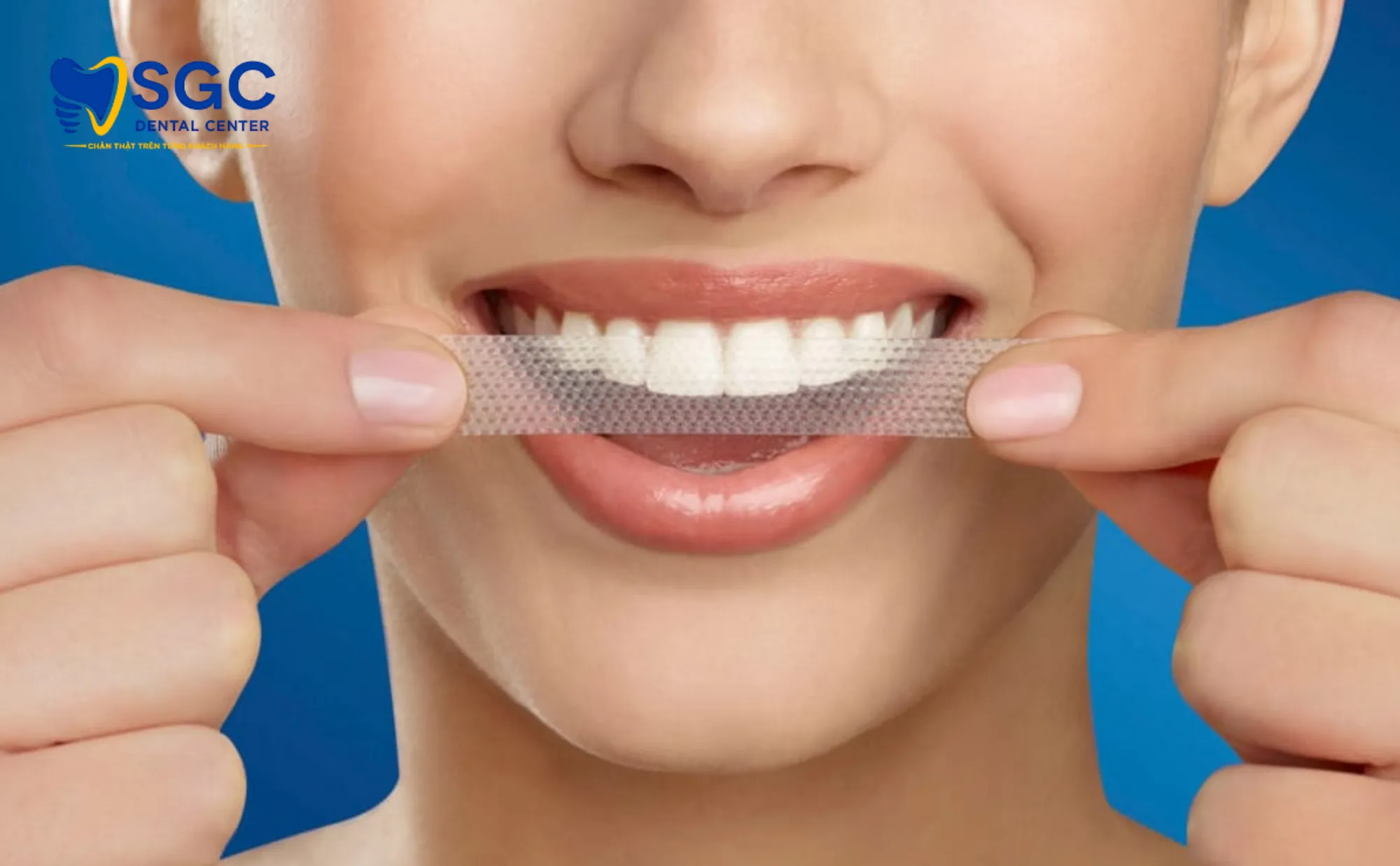 cach-su-dung-mieng-dan-crest